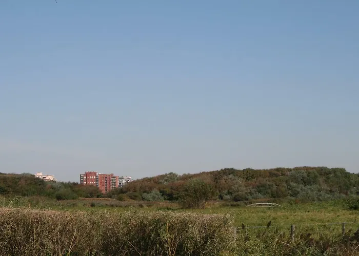 Met Zeezicht Max 6 P * Oostende